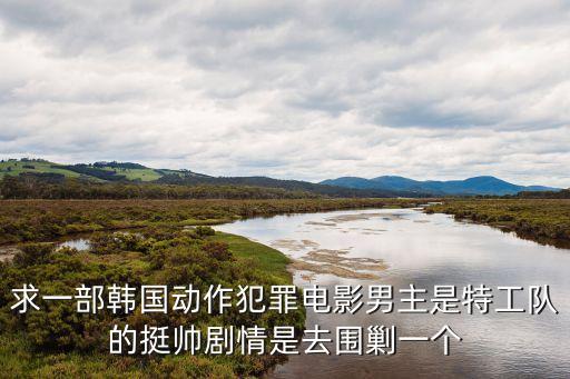 求一部韓國動作犯罪電影男主是特工隊的挺帥劇情是去圍剿一個