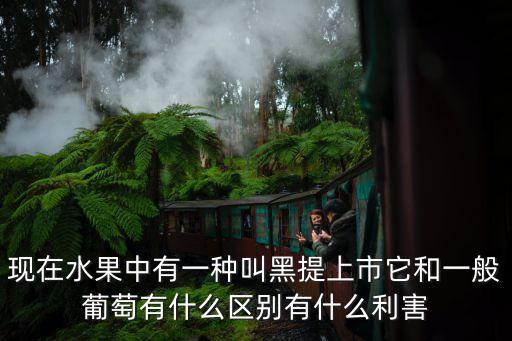 黑提，黑提葡萄都有什么作用