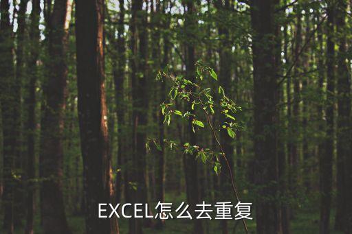 去重復，EXCEL怎么去重復