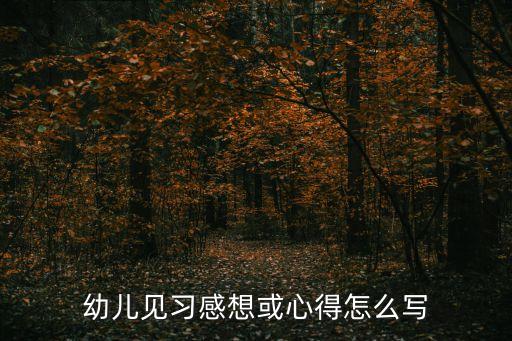 幼兒見習感想或心得怎么寫