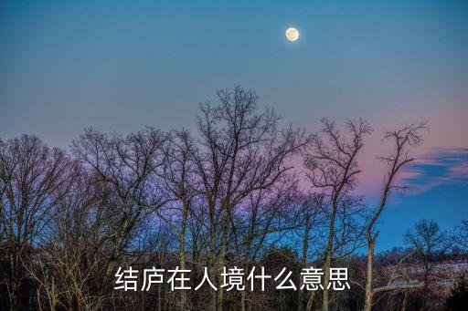 結廬在人境什么意思