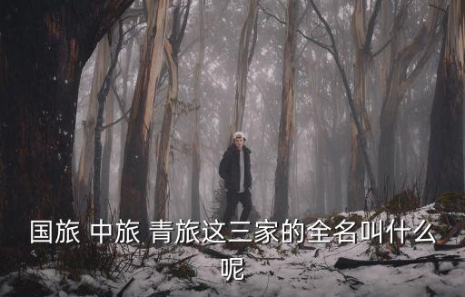 東莞中旅國(guó)際旅行社官網(wǎng)，東莞各知名旅行社網(wǎng)址