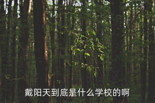 戴陽天到底是什么學校的啊