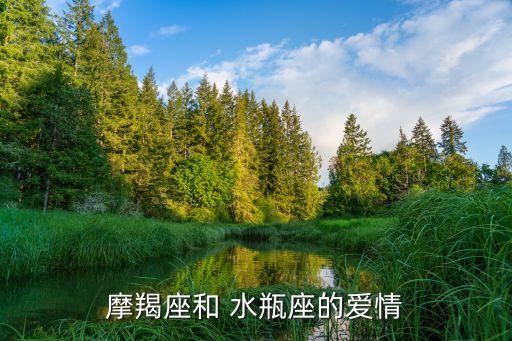 摩羯座和 水瓶座的愛情