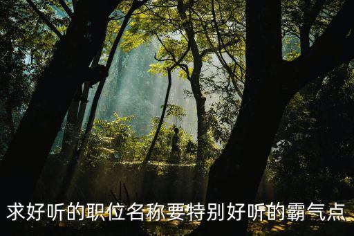職務名稱，求問一下崗位職務名稱