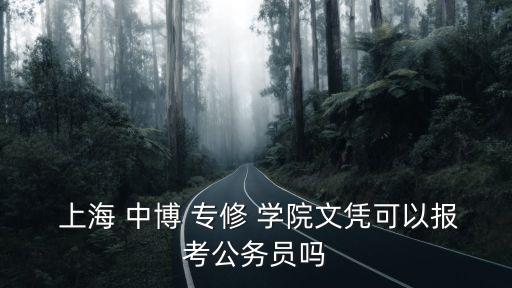  上海 中博 專修 學(xué)院文憑可以報(bào)考公務(wù)員嗎