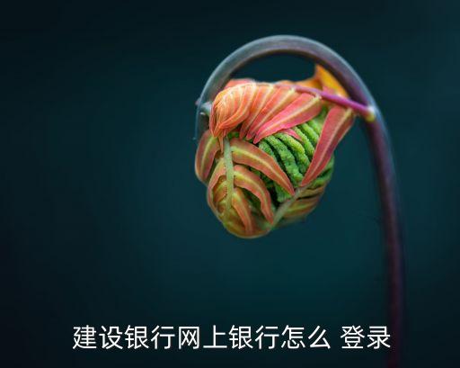  建設銀行網上銀行怎么 登錄