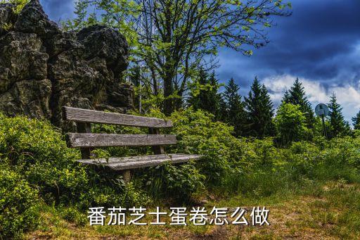 番茄芝士蛋卷怎么做