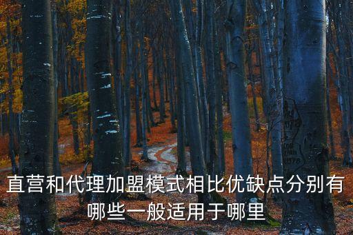 直營(yíng)和代理加盟模式相比優(yōu)缺點(diǎn)分別有哪些一般適用于哪里