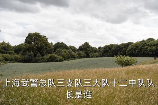 上海市武警總隊(duì)單輝，現(xiàn)任上海武警總隊(duì)副司令是誰(shuí)