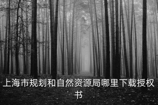 上海市規劃和自然資源局哪里下載授權書