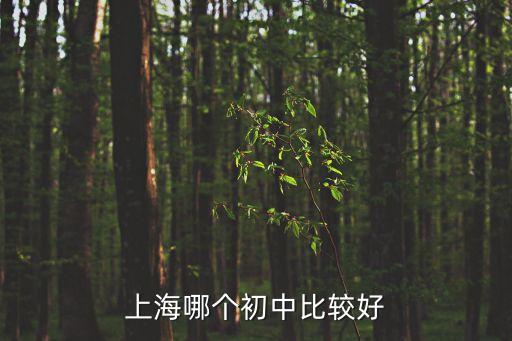 上海哪個(gè)初中比較好