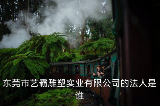 東莞倪佳翔，東莞暢嘉進出口有限公司有人去過考察嗎