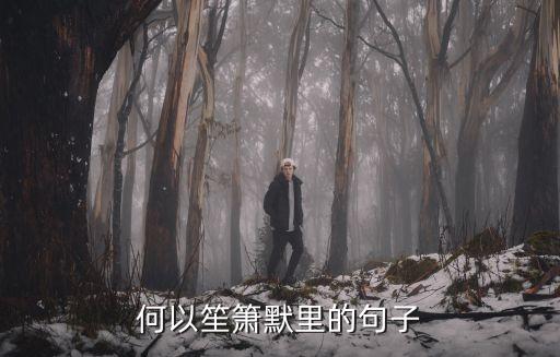何以笙簫默里的句子
