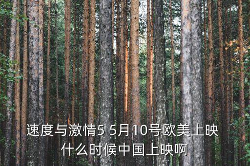 速度與激情5 5月10號歐美上映 什么時候中國上映啊