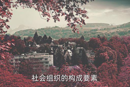 社會組織的構(gòu)成要素