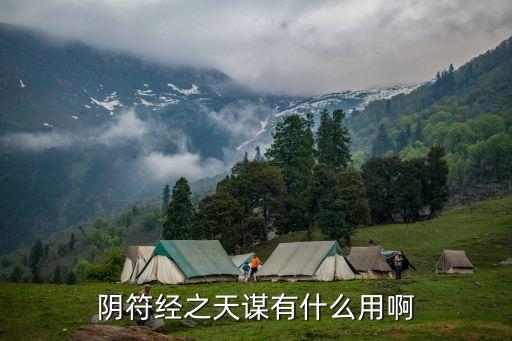 陰符經之天謀有什么用啊