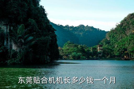 東莞貼合機(jī)機(jī)長多少錢一個(gè)月