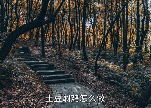 土豆?fàn)F雞肉，土豆?fàn)F雞肉怎么做好吃土豆