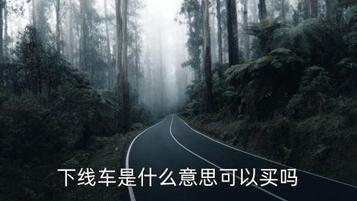 下線車是什么意思可以買嗎