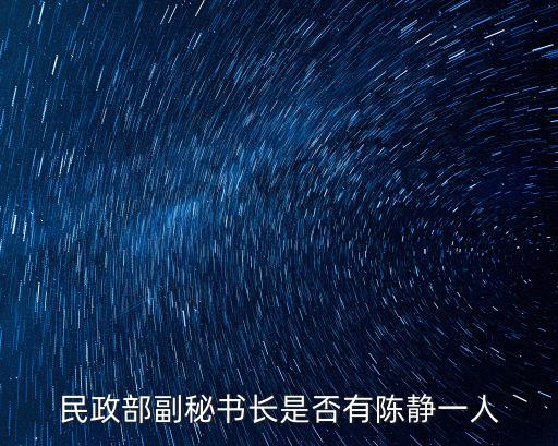 上海市陳靜副秘書長，副秘書長是誰