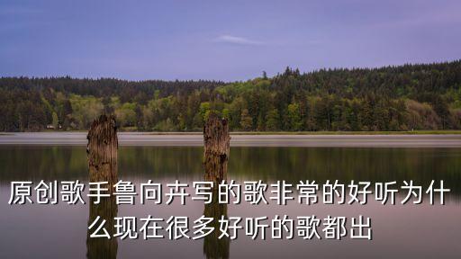 原創(chuàng)歌手魯向卉寫的歌非常的好聽為什么現(xiàn)在很多好聽的歌都出