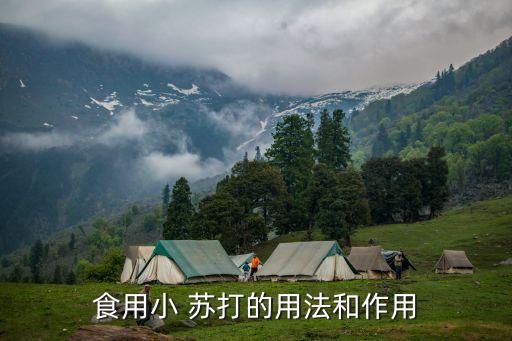 食用小蘇打的禁忌,小蘇打水和小米粉可預防蚊子再叮咬
