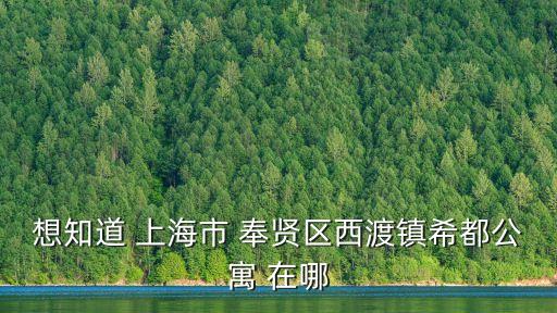 上海市奉賢區西渡社區西渡公寓，上海市奉賢區西渡滬松公路149弄有那些小區