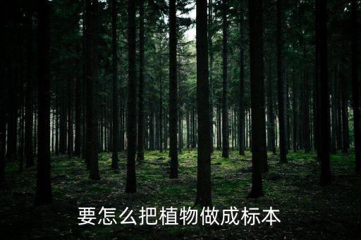要怎么把植物做成標本