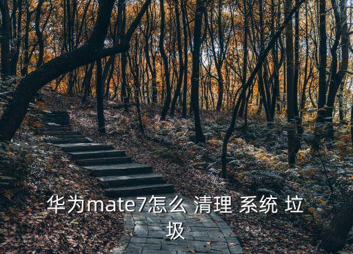 一鍵清理系統(tǒng)垃圾,系統(tǒng)垃圾需要清理嗎?