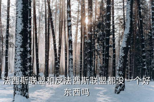 法西斯聯(lián)盟和反法西斯聯(lián)盟都沒一個(gè)好東西嗎