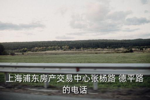 上海浦東房產(chǎn)交易中心張楊路 德平路的電話