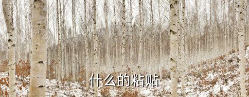 什么的粘貼