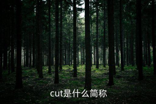  cut是什么簡稱