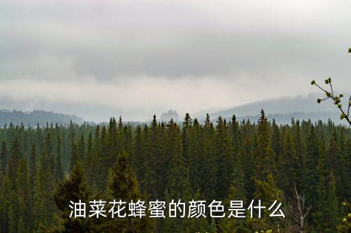  油菜花蜂蜜的顏色是什么