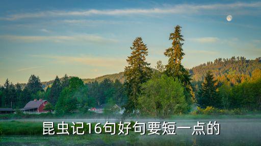 昆蟲記好句，昆蟲記中有哪些好句字快點(diǎn)啊 10句就好