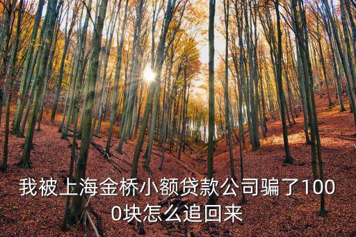 上海市金橋小額貸款投訴，我被上海金橋小額貸款公司騙了1000塊怎么追回來(lái)