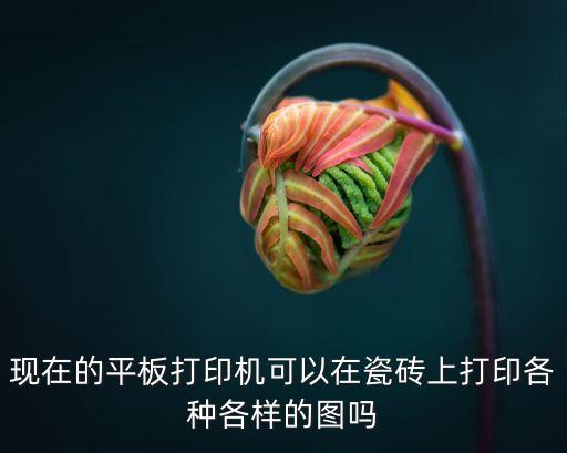 現(xiàn)在的平板打印機可以在瓷磚上打印各種各樣的圖嗎