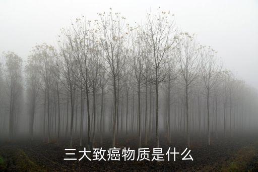 三大致癌物質是什么
