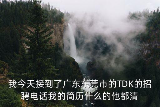 我今天接到了廣東東莞市的TDK的招聘電話我的簡歷什么的他都清