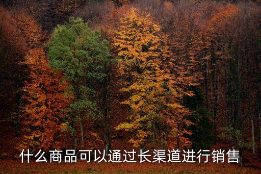 長渠道，什么商品可以通過長渠道進行銷售