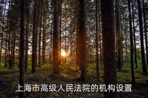 上海市高級(jí)人民法院的機(jī)構(gòu)設(shè)置