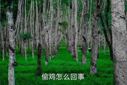 偷雞，網絡語偷雞什么意思