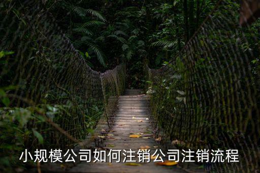 小規模公司注銷，小規模公司怎么注銷