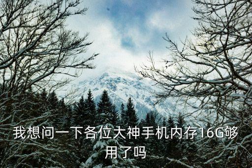 我想問一下各位大神手機內存16G夠用了嗎