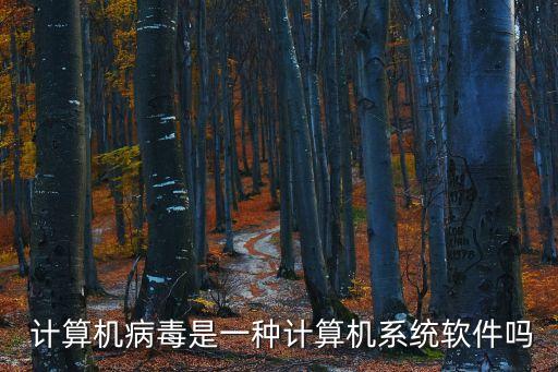  計算機病毒是一種計算機系統軟件嗎