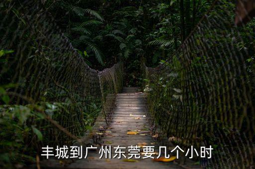 豐城到廣州東莞要幾個小時