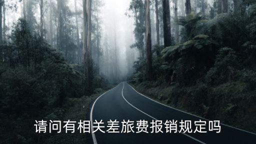 出差報銷標準，因公出差報銷旅差費是怎樣規定的
