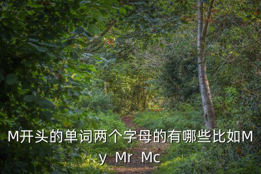 M開頭的單詞兩個(gè)字母的有哪些比如My  Mr  Mc