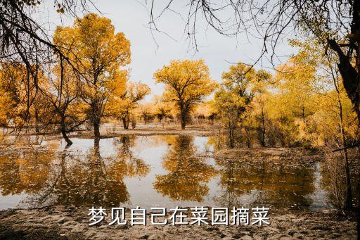 夢見菜園，求解夢夢到菜園里面菜長的可好了好像又在澆水還在菜園撿了好